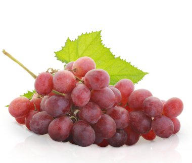 Red grape clipart