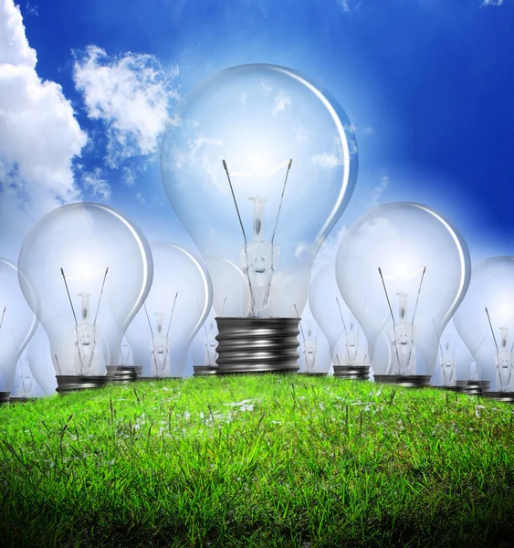 Light bulb with grass — Stock Photo, Image