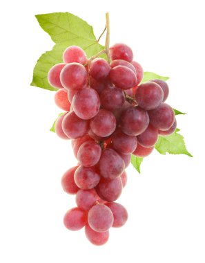 Red grape clipart