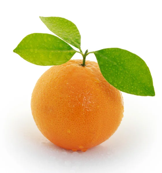 Oranžové na bílém pozadí — Stock fotografie