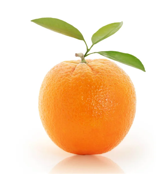 オレンジを背景に — ストック写真