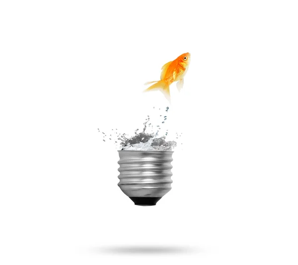 金鱼跳跃灯泡 — 图库照片