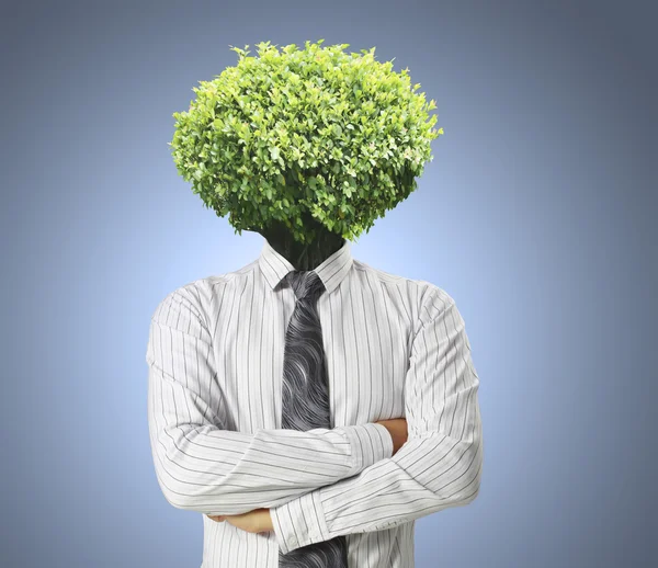Huvudet träd — Stockfoto