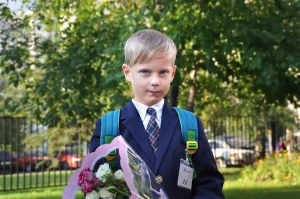 The pupil goes to school — Stock Photo, Image