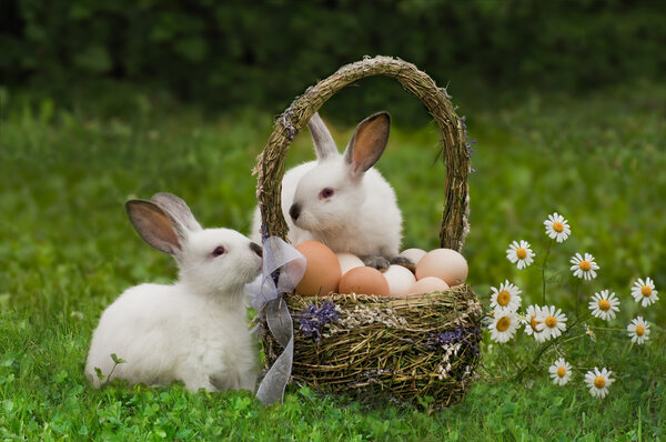 Easter. Hares with a basket of eggs