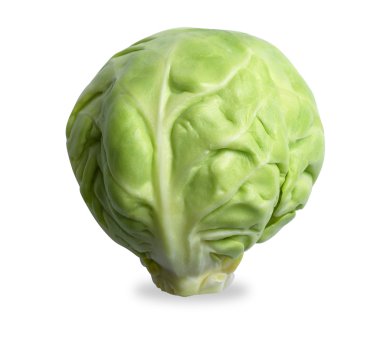 Single brussels sprout isolated on white with path clipart