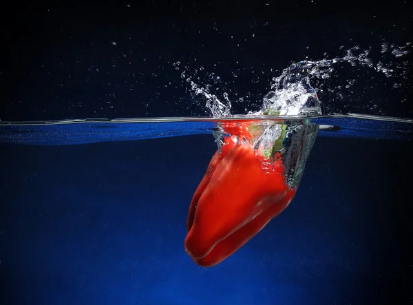 Rød pepper faller i vannet. Blå bakgrunn – stockfoto