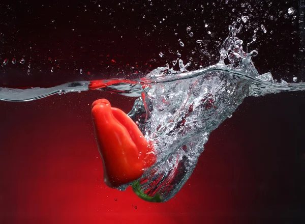 Rød pepper faller i vannet. Bakgrunn i samme tone – stockfoto