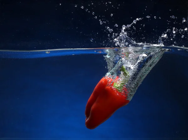 Κόκκινο πιπέρι που εμπίπτουν στο νερό. μπλε φόντο — Φωτογραφία Αρχείου