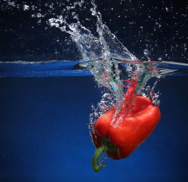 Röd paprika faller i vattnet. blå bakgrund — Stockfoto