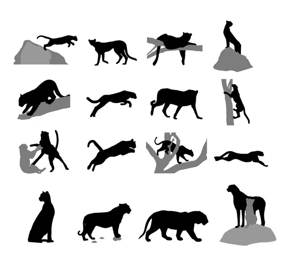 Assembly of silhouettes of the wild cat — Stock Vector