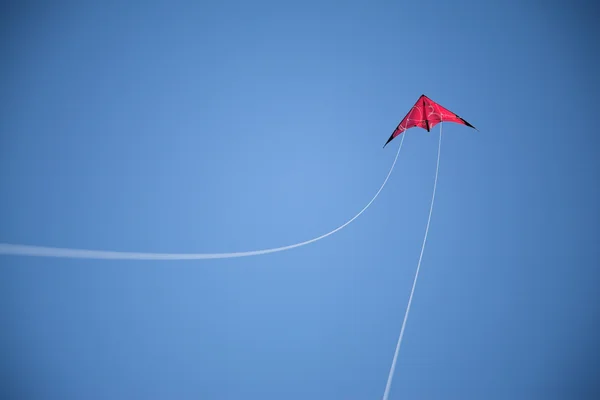 Red kite flies on sky, white string arch