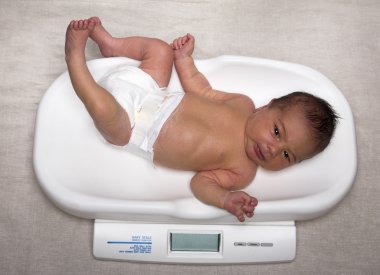 Just born baby on scale clipart