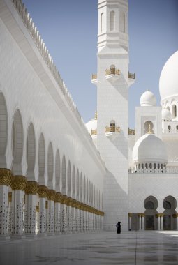 Abu Dabi grand yosun iç Bahçe