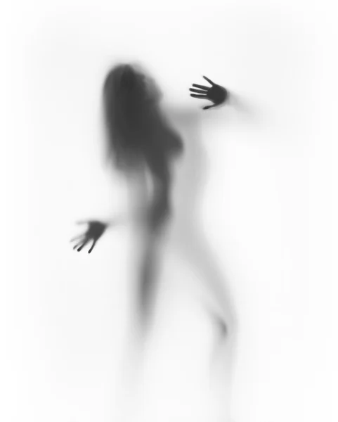 Beautiful woman silhouette, hands — Stock Photo, Image
