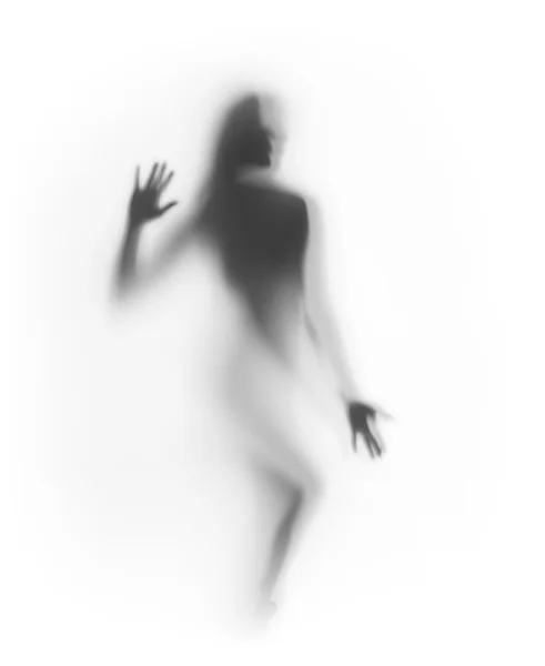 Sexy Frau steht hinter einem Vorhang, Silhouette — Stockfoto
