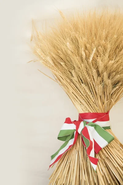 Grain, bandaged with tricolor banner as symbol of harvest — Stock Photo, Image