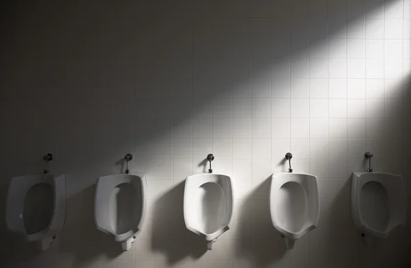 WC en la oscuridad, y haz de luz —  Fotos de Stock