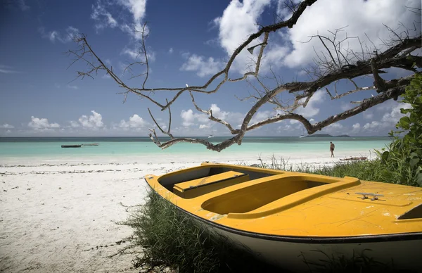 Ocean beach, yellow boat, tree — Stock Photo, Image