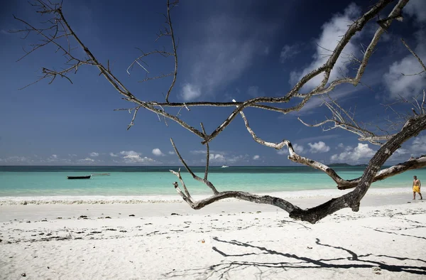 Seychelles coast — Stock Photo, Image