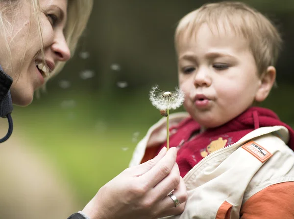 Kid and mother blowing dandelion — Stock Photo, Image