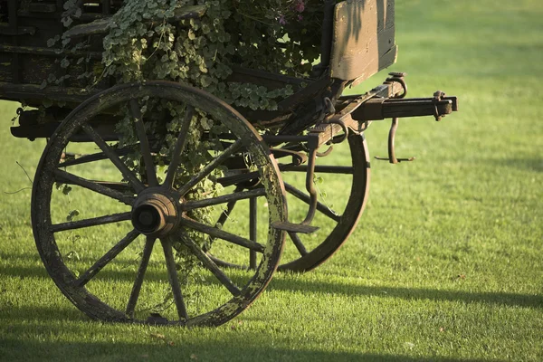An old coach on grass — Stock Photo, Image