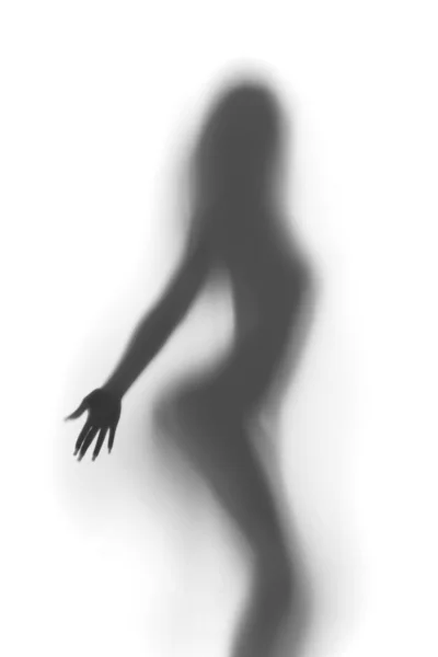 性感的女人站在窗帘后面剪影 — 图库照片