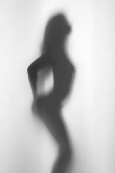 Sexy vrouw staat achter een gordijn, silhouet — Stockfoto