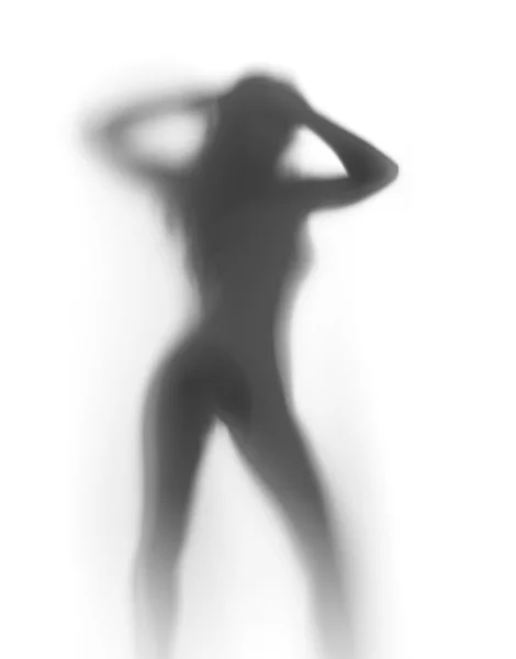 Donna sexy si trova dietro una tenda, silhouette — Foto Stock