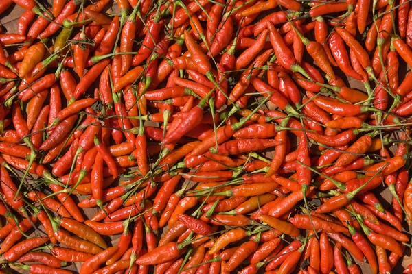 Hintergrund der Nahaufnahme rote Paprika — Stockfoto