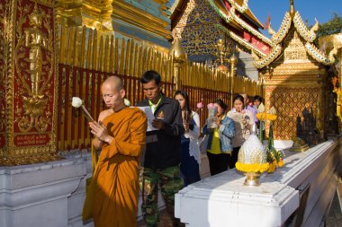 chiang mai Tayland krathong Festivali Loy