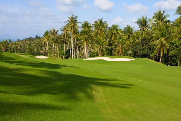 Paesaggio di un bellissimo campo da golf verde — Foto Stock