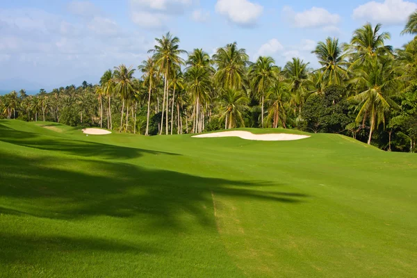 Paisaje de un hermoso campo de golf verde — Foto de Stock