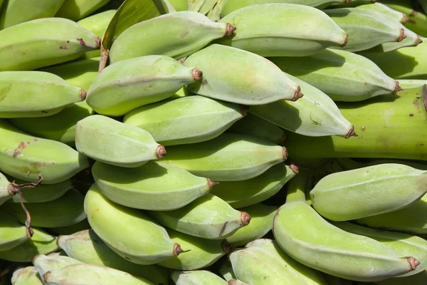 Zelený banán — Stock fotografie