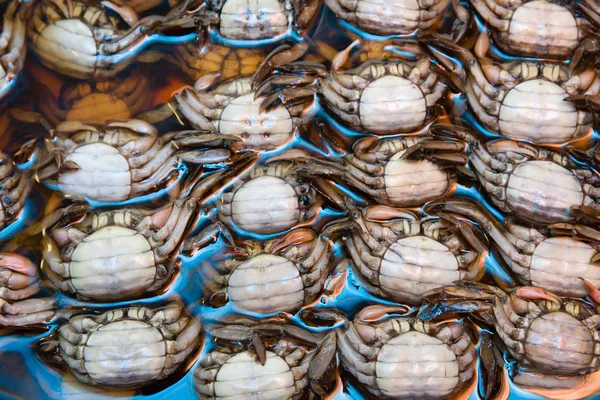 Crabs On The Market — Stock Photo, Image