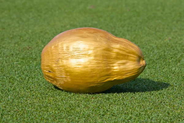 Χρυσή καρύδας στο γήπεδο του γκολφ — Φωτογραφία Αρχείου