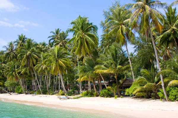 Gyönyörű trópusi tengerparton. Thaiföld — Stock Fotó