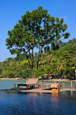 Yüzme Havuzu deniz Tayland