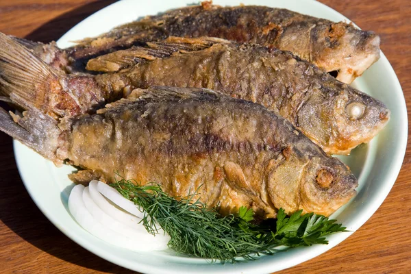 Cruciano de pescado frito en plato — Foto de Stock