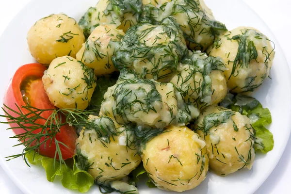 土豆和西红柿用草药 — 图库照片