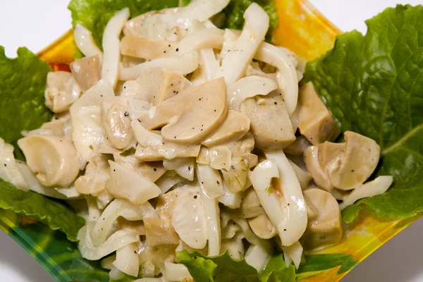 크림 소스에 버섯과 오징어 — 스톡 사진