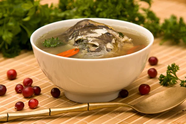 Fresh-soup — Stock Photo, Image