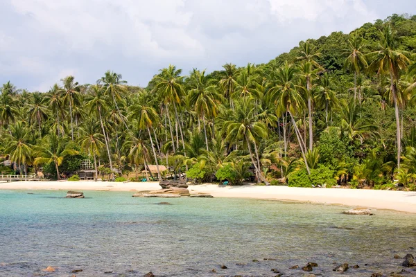 Tropikalnej plaży z palmami na piasku w pobliżu morza. — Zdjęcie stockowe