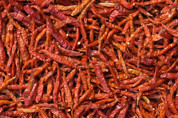 stock image Red chili peppers drying