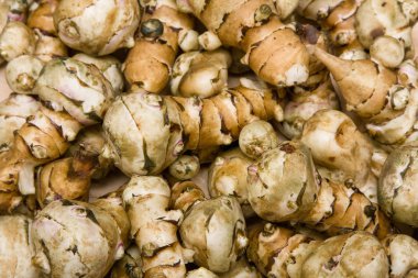 Jerusalem artichoke (sunroot) tubers clipart