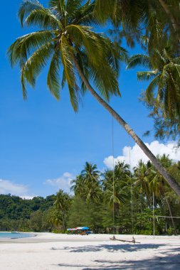 Tayland 'daki güzel tropikal plaj