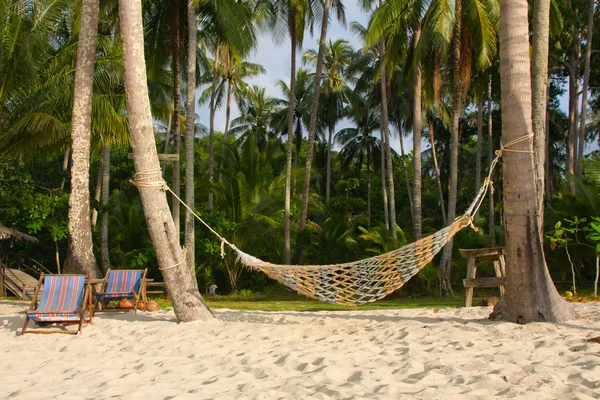 Пляж с пальмой и гамаком — стоковое фото