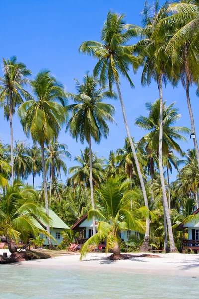 Vacker tropisk strand i thailand — Stockfoto