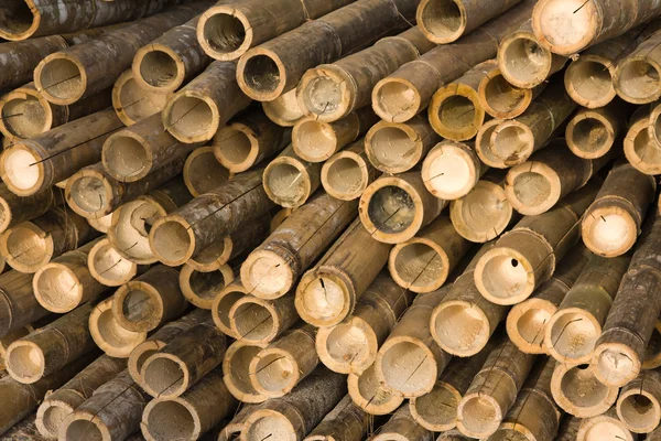 Barre di bambù — Foto Stock