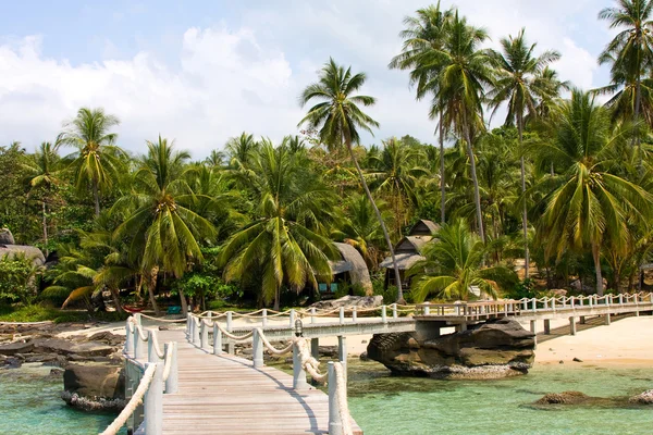 Deniz ve palmiye ağaçları iskeleden — Stok fotoğraf